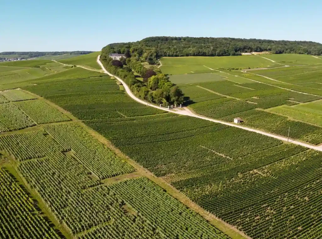 Vinhedos de Champagne, na região de Épernay, uma das paradas do roteiro pela França.