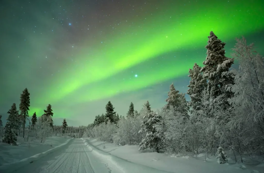 Aurora boreal sobre uma floresta nevada na Lapônia, com luzes verdes iluminando o céu e uma estrada cercada por árvores cobertas de gelo. A região ártica é um dos destinos mais procurados para observar a aurora boreal, especialmente durante as noites escuras de outono e inverno.