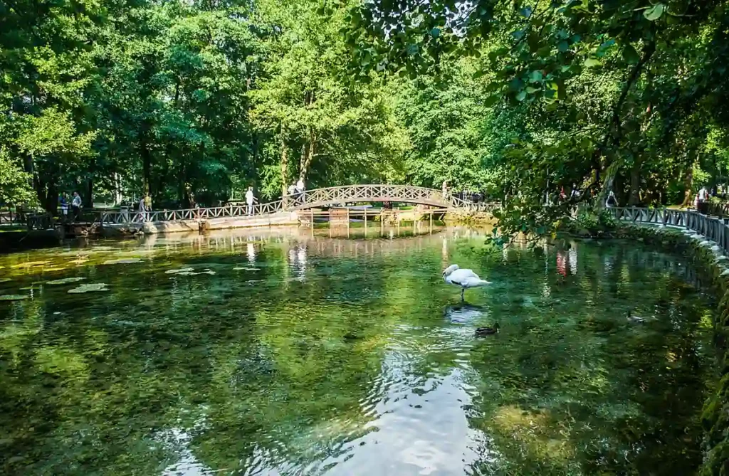 O parque Vrelo Bosne, localizado nos arredores de Sarajevo, é conhecido pelas nascentes do rio Bosna, lagos cristalinos, pontes de madeira e vegetação abundante. É um dos principais passeios de natureza da região e uma opção para conhecer um lado mais tranquilo da Bósnia e Herzegovina.